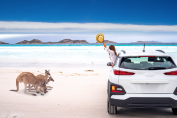 Stop the South Coast Marine Park Mandate